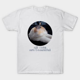 cat T-Shirt